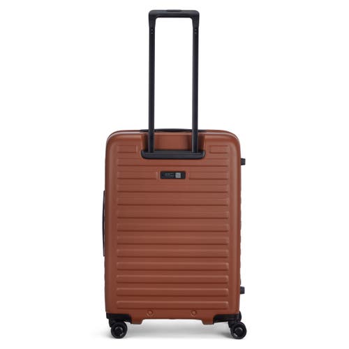 Lojel Cubo Medium Check In Brown