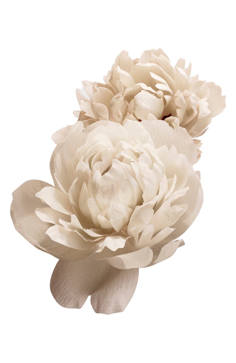 Burberry Her London Dream Eau de Parfum, Alternate, color,