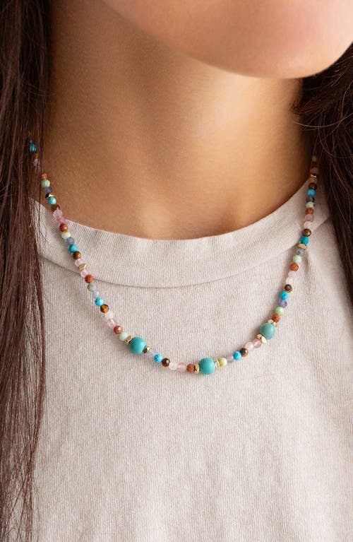 Marlyn Schiff Natural Stone Beaded Necklace In Multi