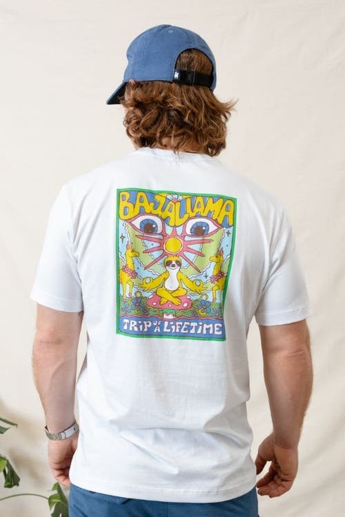Baja Llama Peace Sloth In White