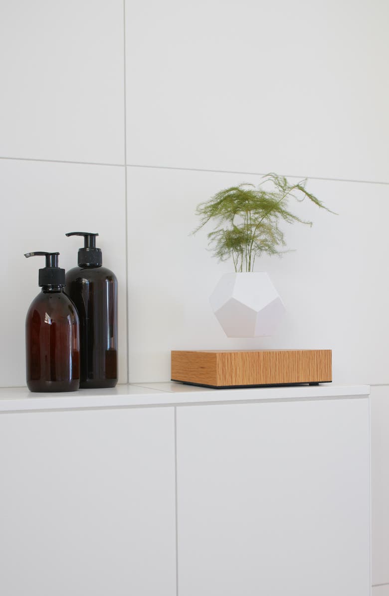 FLYTE Lyfe Levitating Planter, Alternate, color, 
