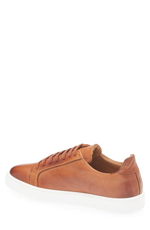 Bruno Magli Magnifico Low Top Sneaker In Cognac