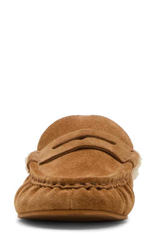 Steve Madden Rafe Genuine Shearling Mule In Brown