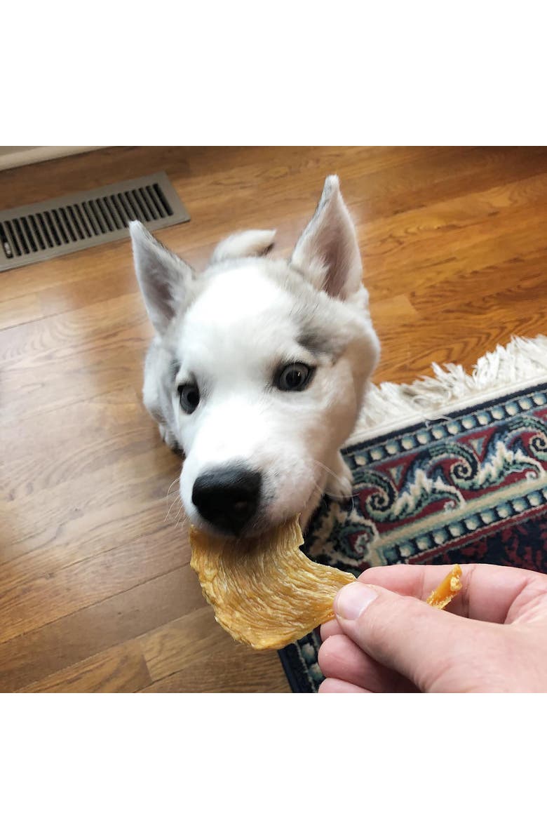 Scout & Zoe's Chicken Breast Jerky, 4oz Dog & Cat Treats, Dehydrated Pet Chew, Alternate, color, Multicolored