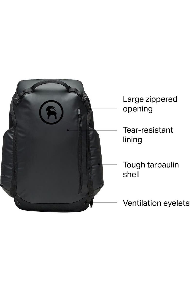 Backcountry Cottonwoods Ski & Snowboard Boot Bag G2, Alternate, color, Black