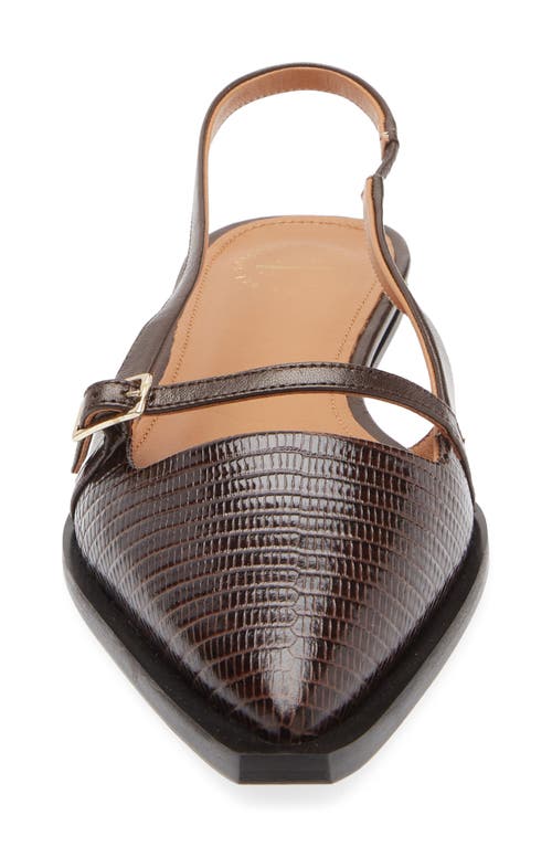 Atp Atelier Cortina Pointed Toe Slingback Flat In Animal Print