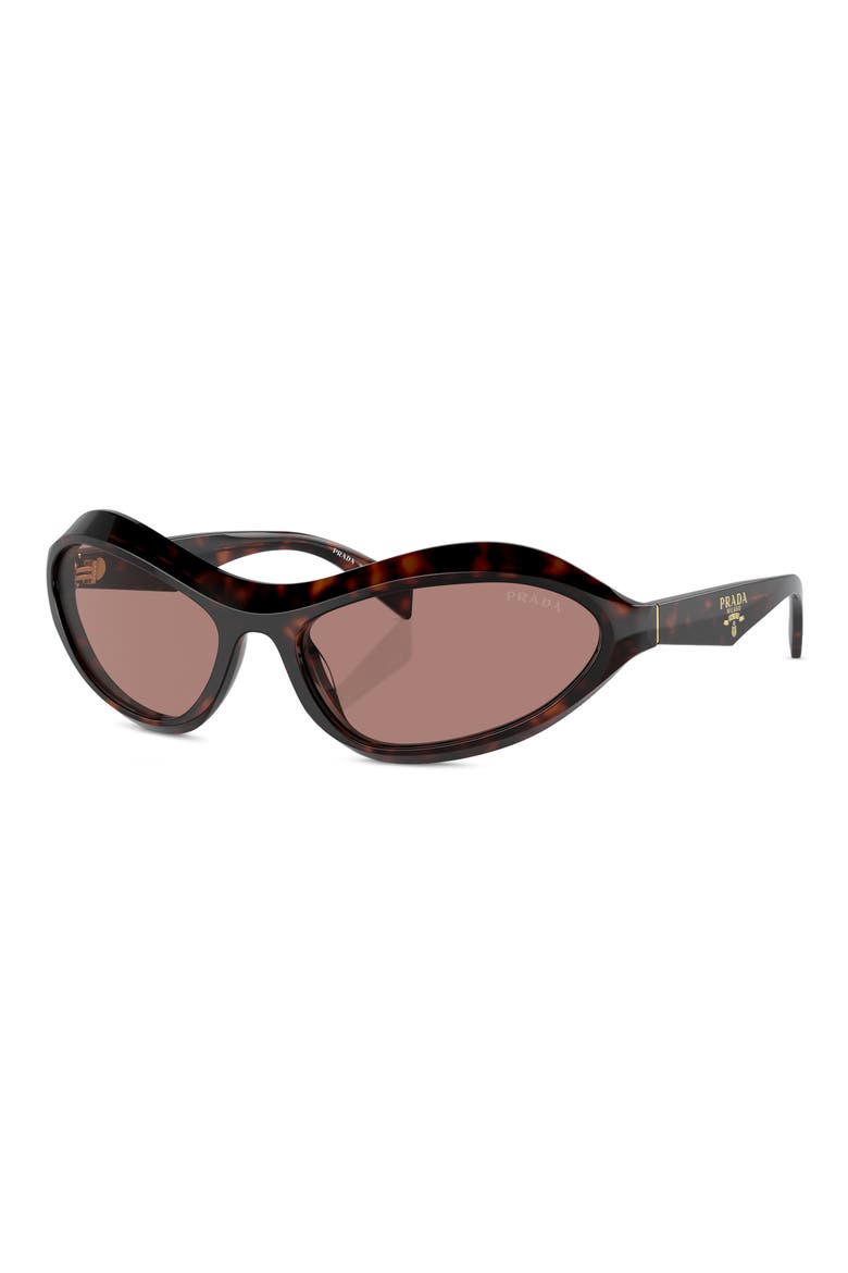 63mm Oversize Oval Sunglasses, Alternate, color, LITE BROWN
