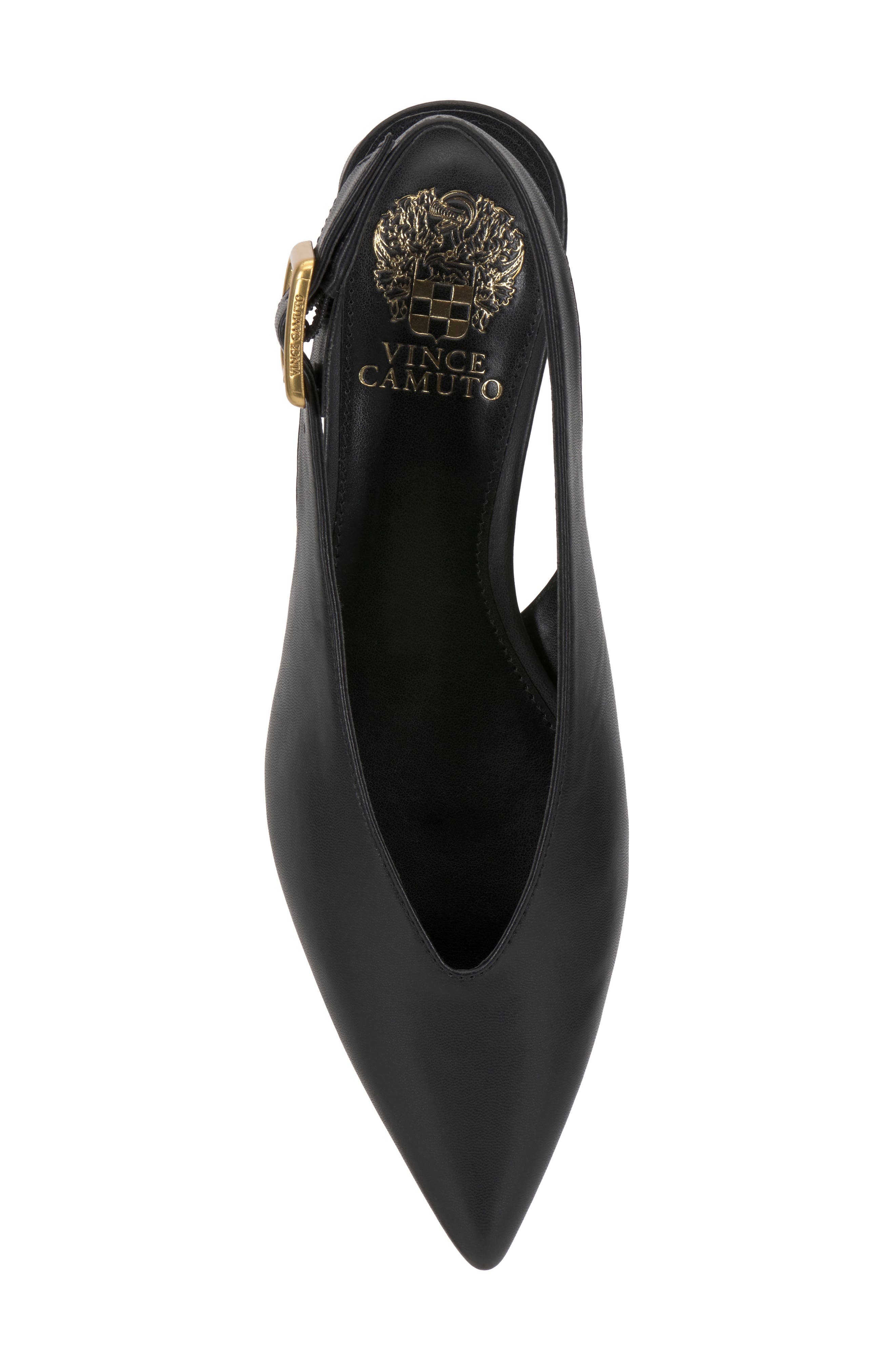 Vince Camuto Velana Pointed Toe Pump, Alternate, color, Black