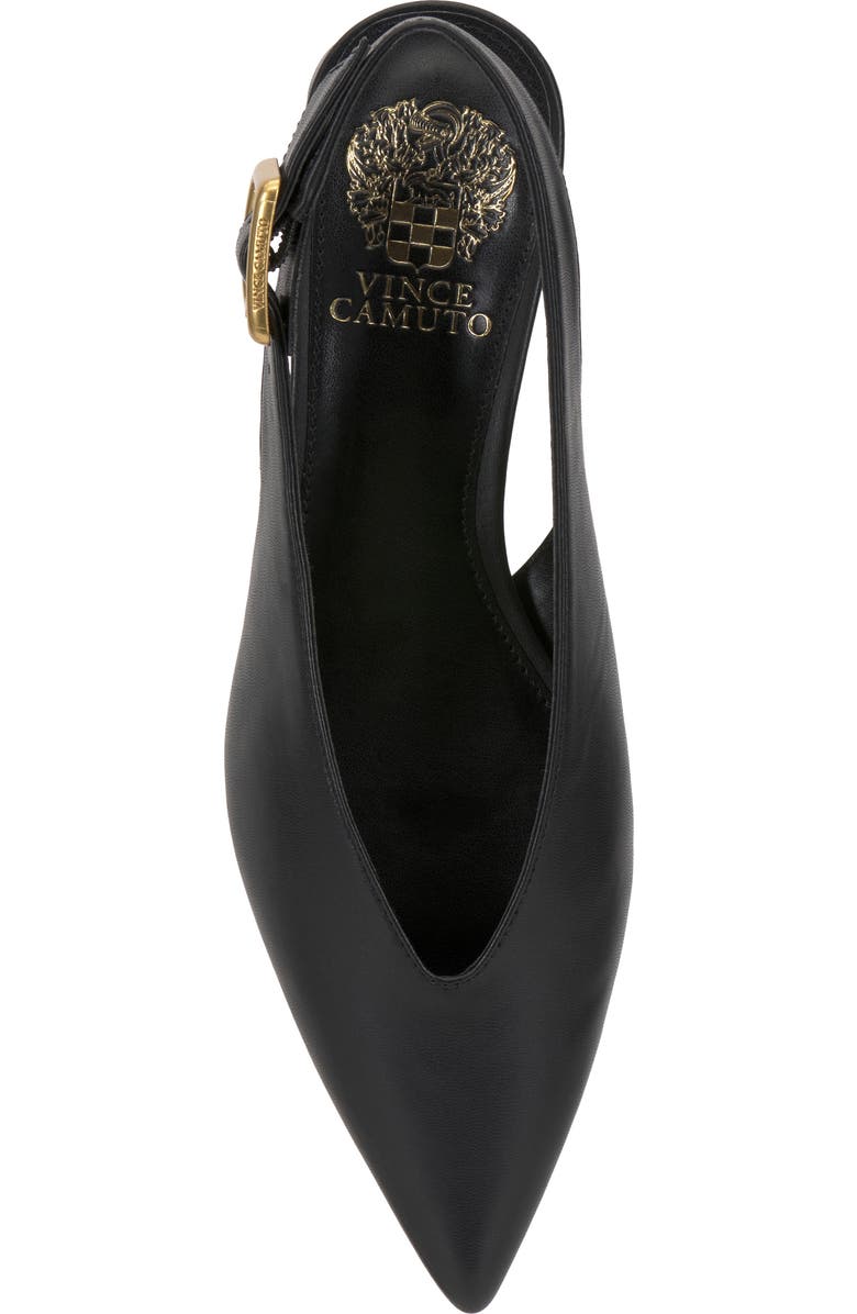 Vince Camuto Velana Pointed Toe Pump, Alternate, color, Black