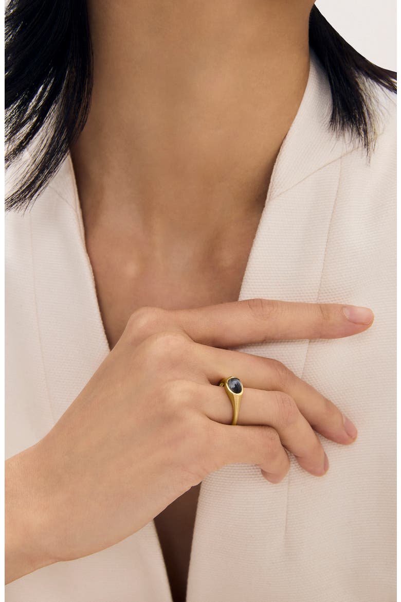 Cala Signet Ring, Alternate, color, IRIDESCENT HEMATITE/ GOLD