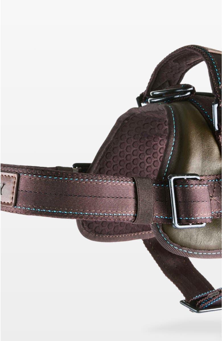 Masky Signature Leather Dog Harness, Alternate, color, Medium Green