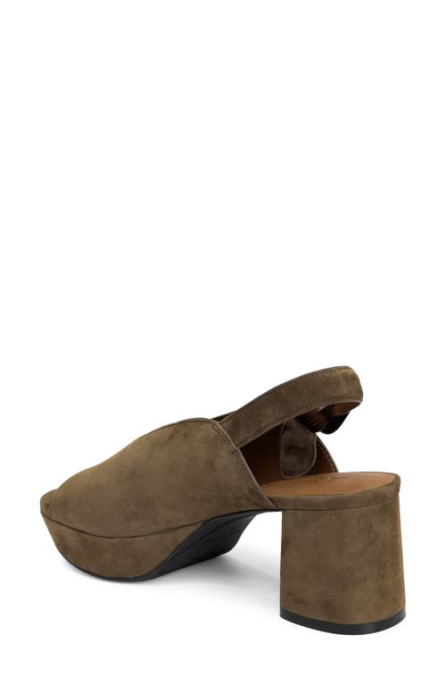 Aerosoles Women's Cornelia Platform Heel In Brown