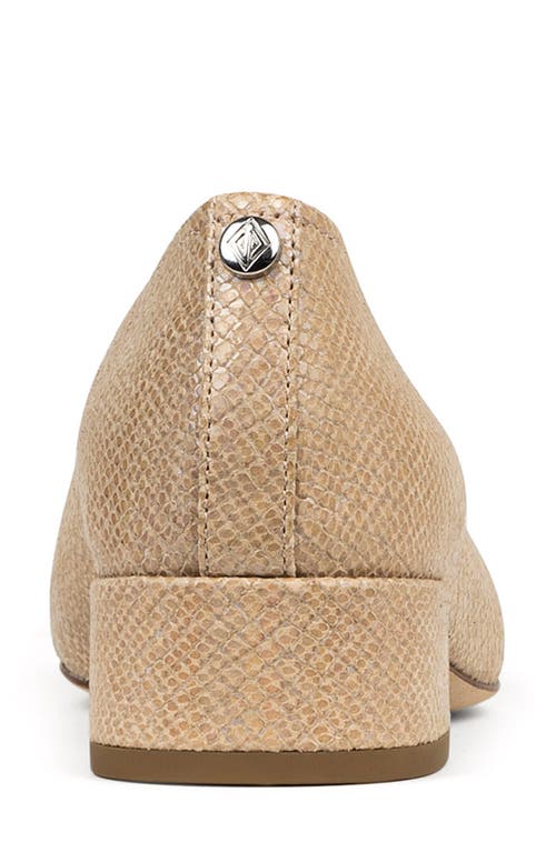Shop Donald Pliner Drew Pump
