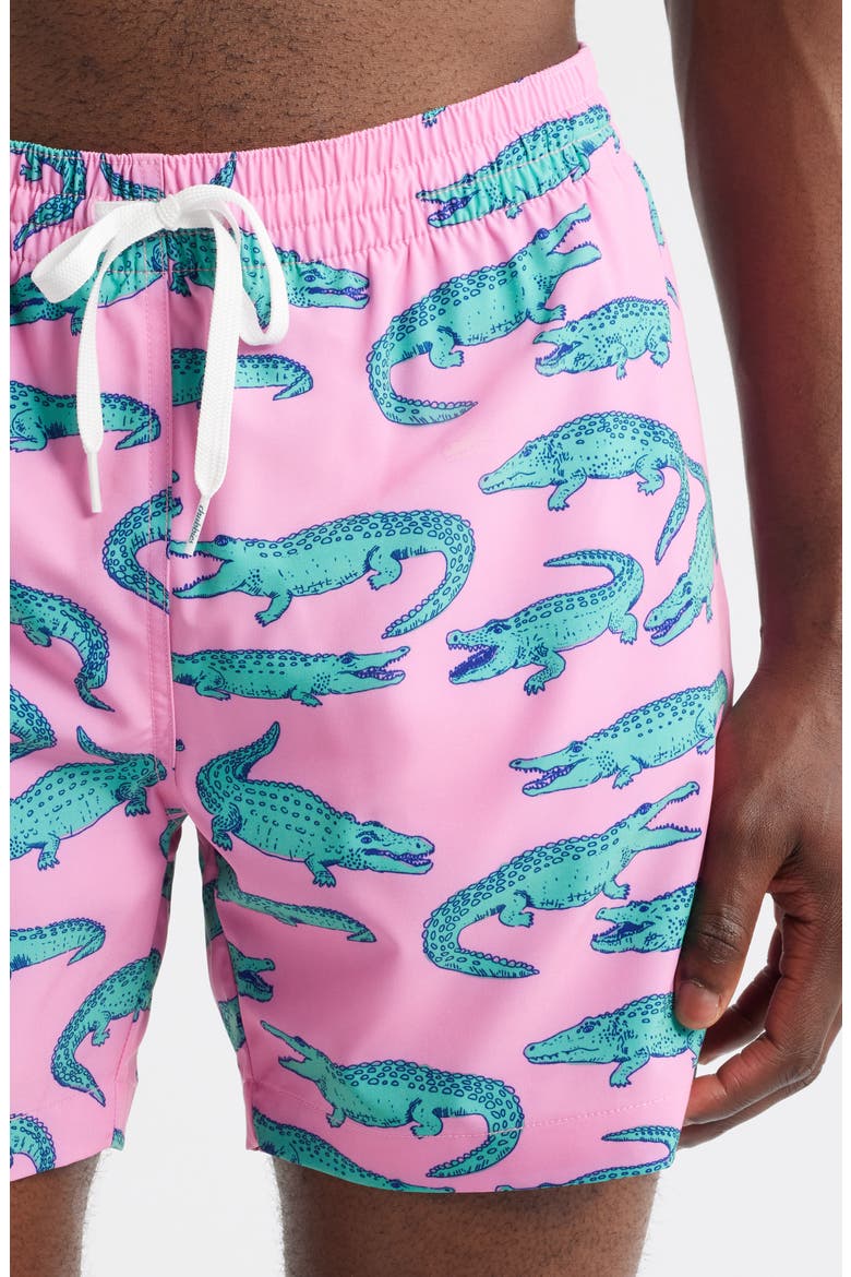 The Glades Lined 5.5-Inch Swim Trunks, Alternate, color, PINK
