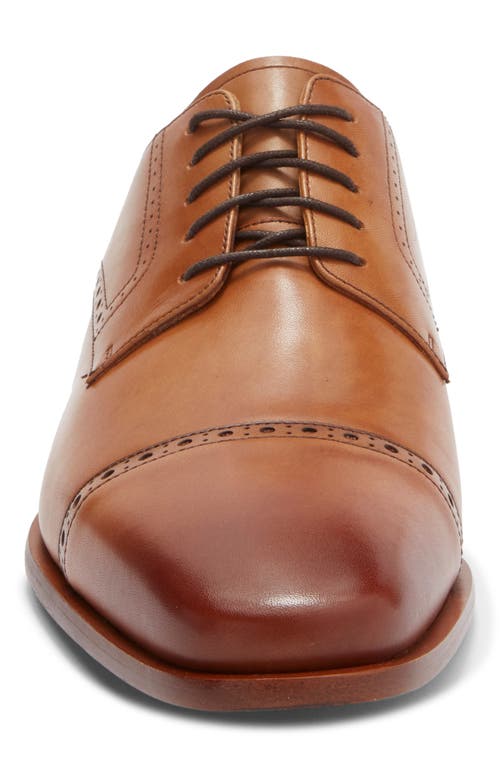 Curatore Spectre Brogue Derby In Brown