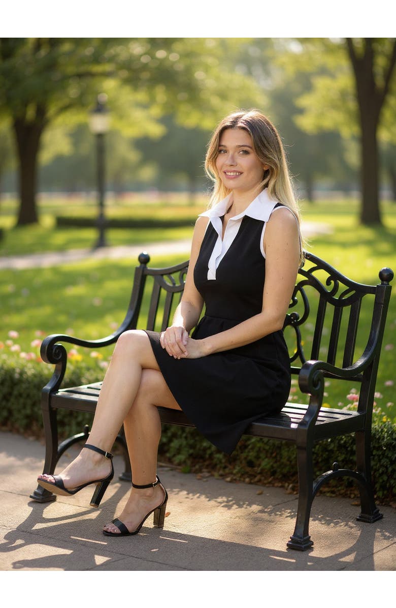 24seven Comfort Apparel Womens Sleeveless Flared A-Line Mini Dress, Alternate, color, Black