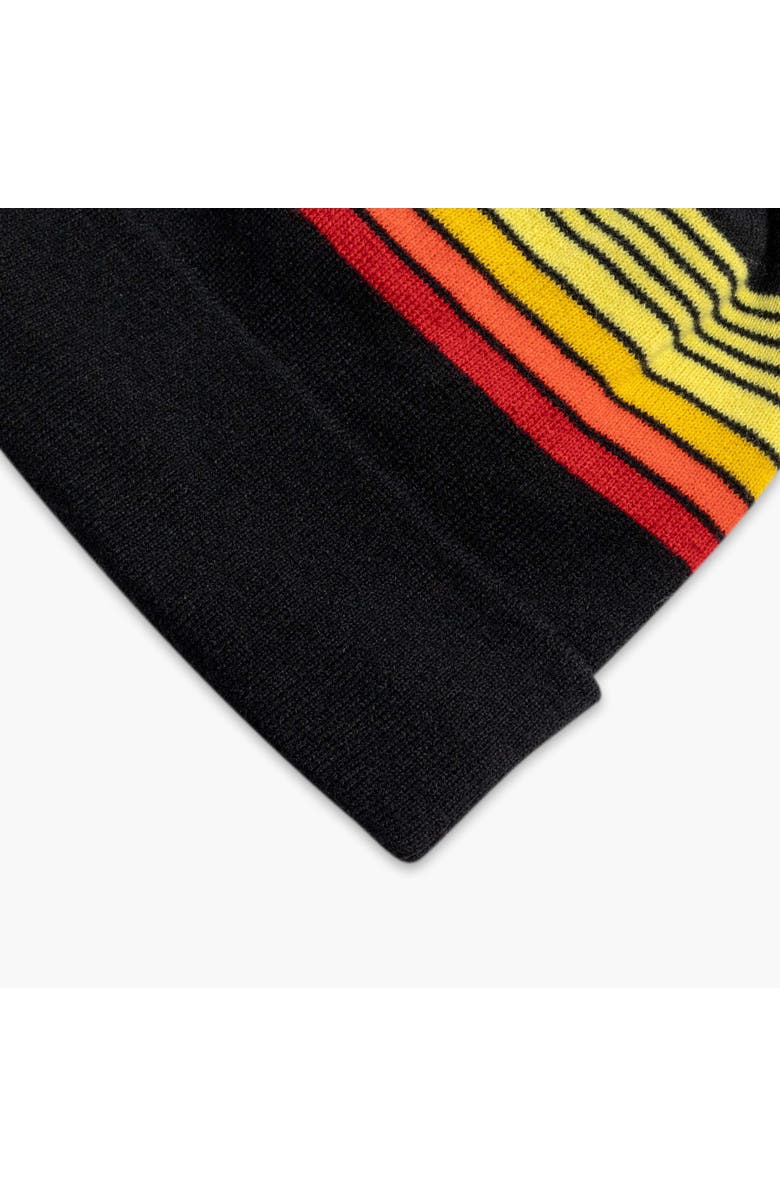 Turtle Fur Youth Omega Winter Hat, Alternate, color, Black