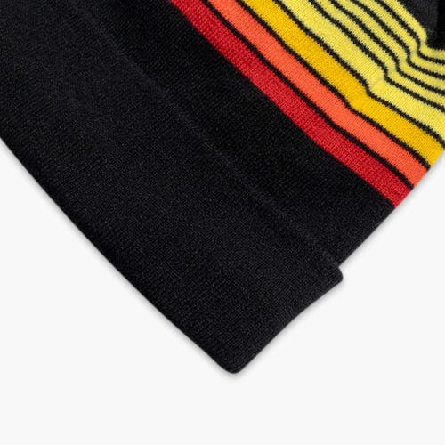 Turtle Fur Youth Omega Winter Hat In Black