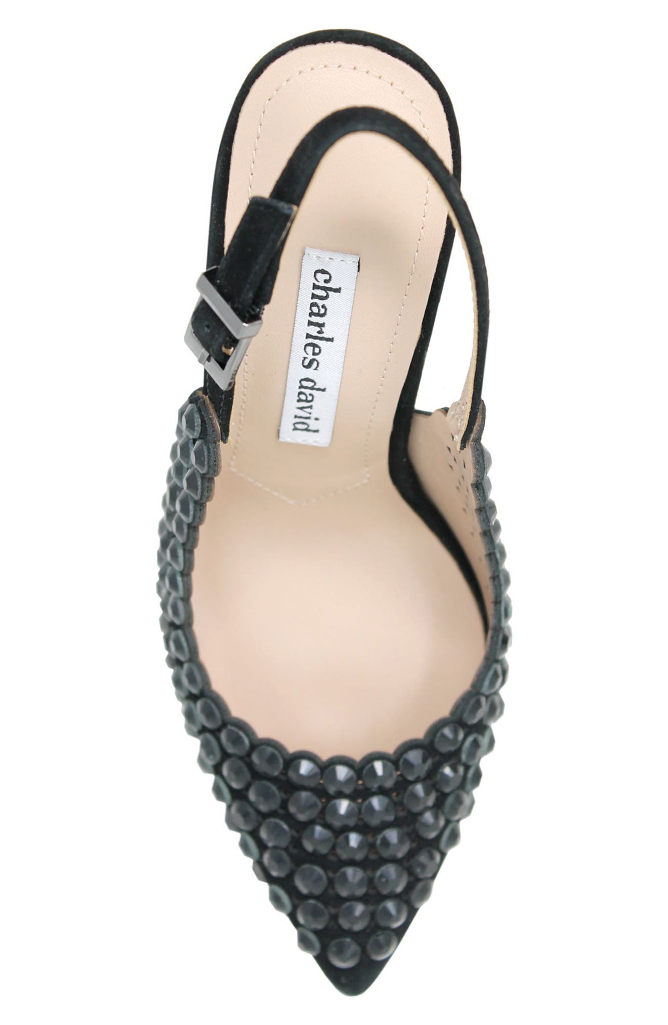 Charles David Idol Slingback Pump, Alternate, color, 