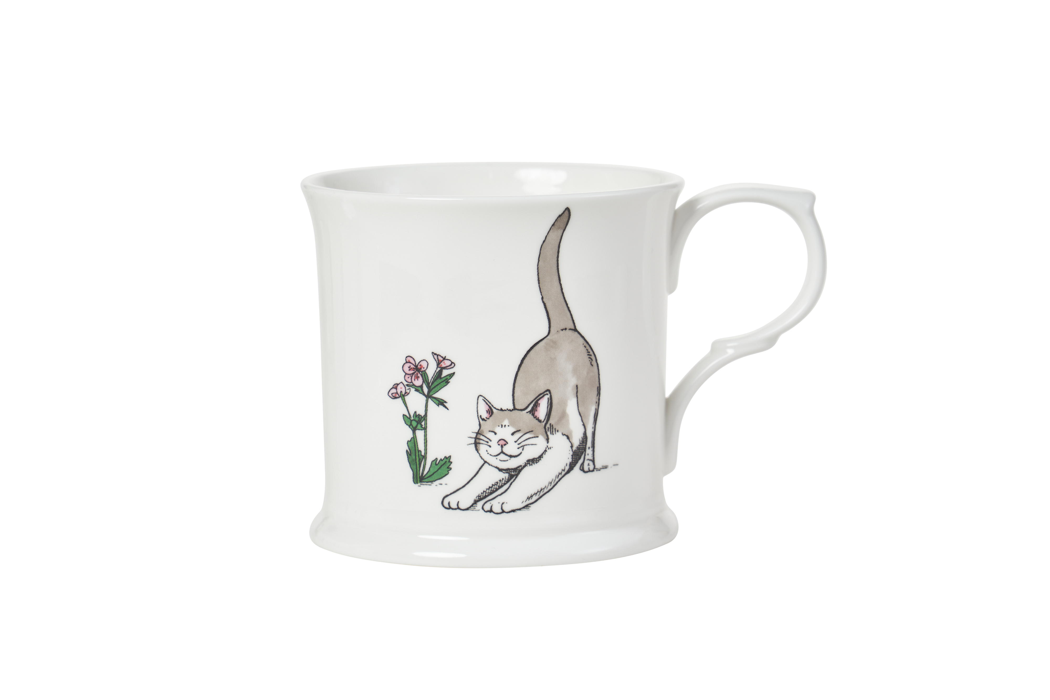 Stretching Cat
