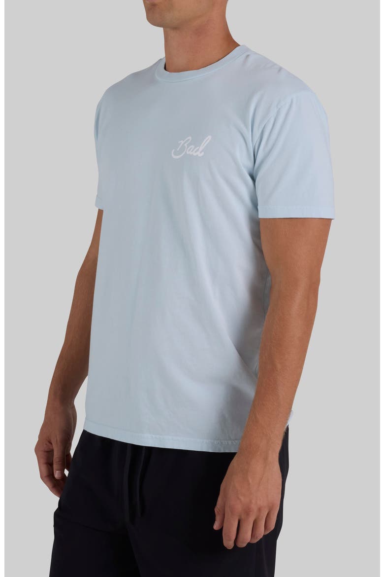 Birdie Cotton Graphic T-Shirt, Alternate, color, BABY BLUE