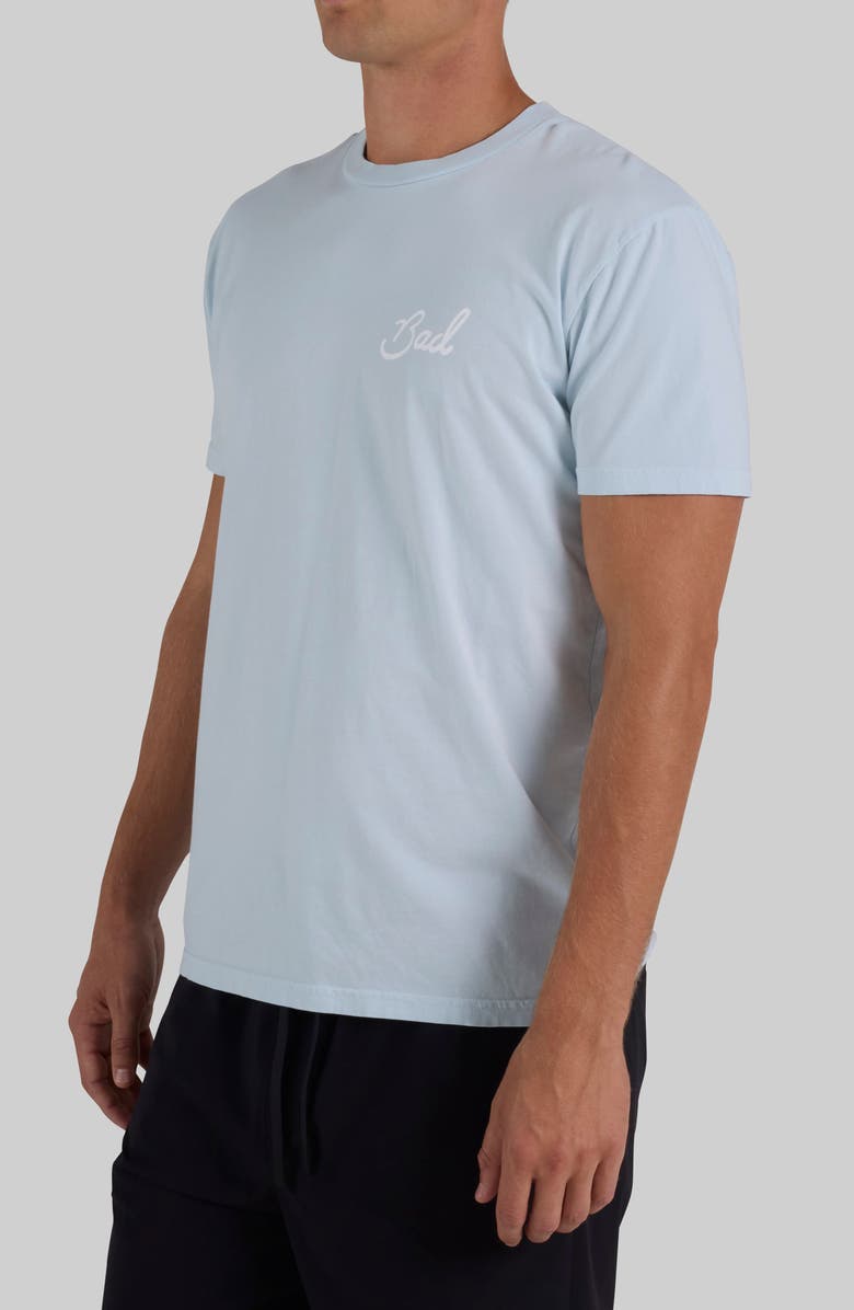 Bad Birdie Birdie Cotton Graphic T-Shirt, Alternate, color, Baby Blue