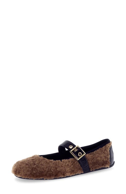 Candice Cooper Dafne Bird High Pile Fleece Flat In Brown
