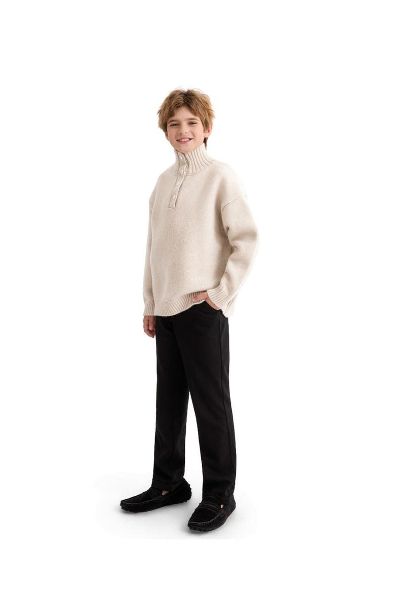 Button-Up Ribbed Sweater, Alternate, color, Beige