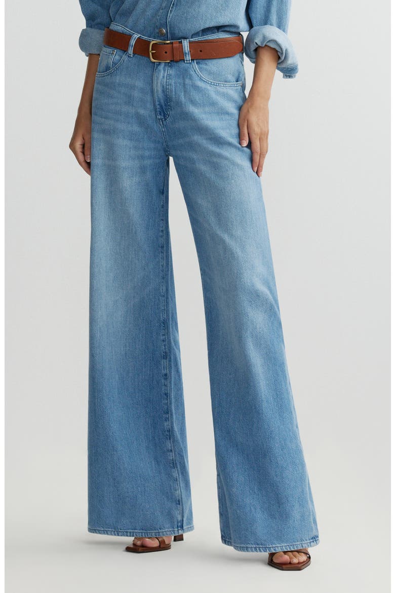 Alex Aura Baggy Low Rise Wide Leg Jeans, Main, color, RIVERBANK AURA
