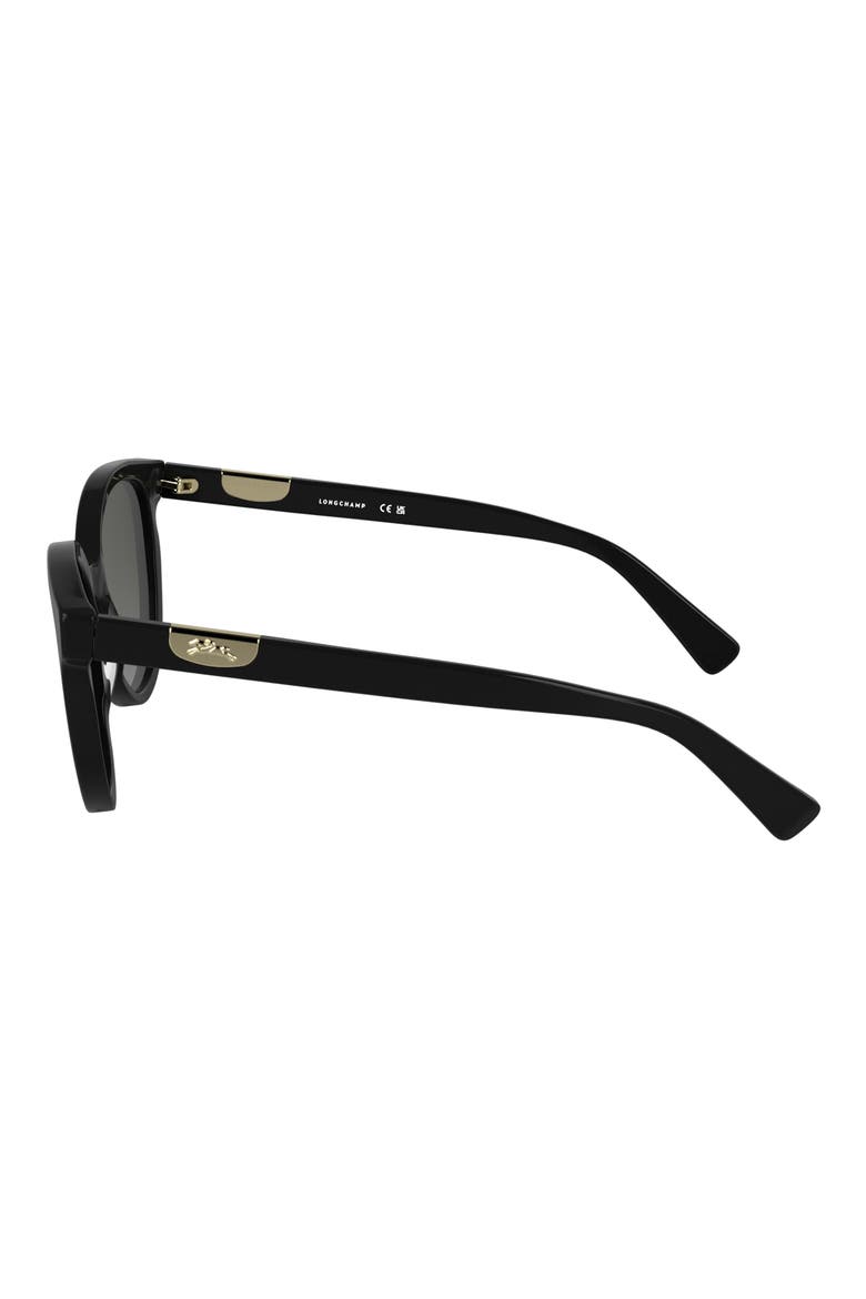 Le Pliage 52mm Gradient Round Sunglasses, Alternate, color, BLACK