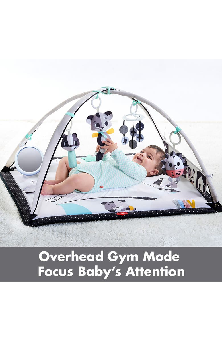 TINY LOVE Gymini Deluxe, Alternate, color,