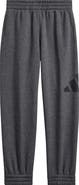 adidas Kids' Big Logo Sweatpants