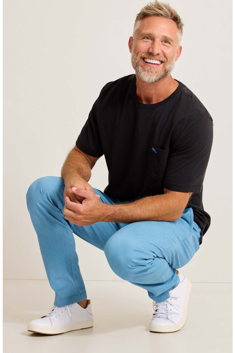 Boracay® Island Flat Front Stretch Chinos, Alternate, color, DARK AZZURRO