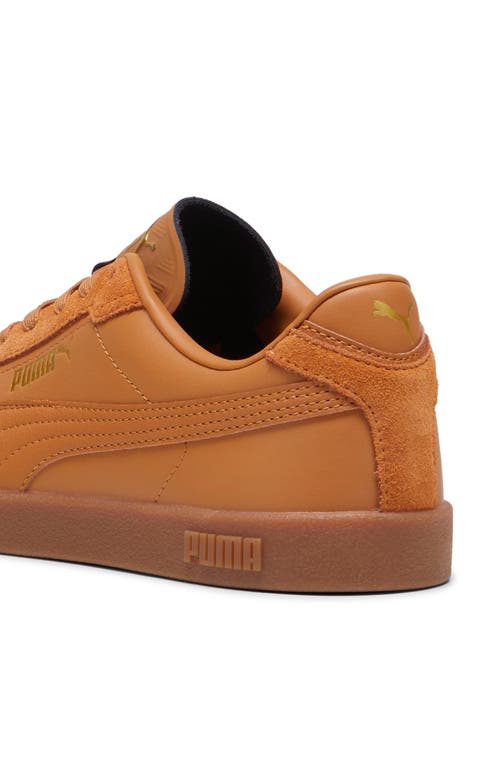 Puma Club Ii Era Leather Sneaker In Brown