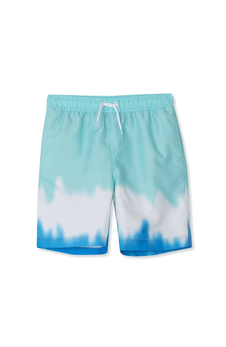 Lands' End Boys Print Swim Trunks, Main, color,