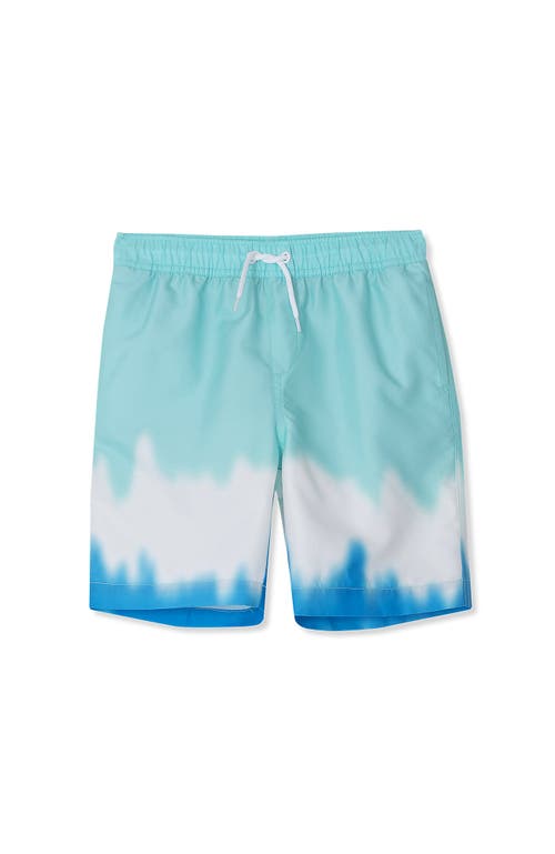 LANDS' END LANDS' END BOYS PRINT SWIM TRUNKS