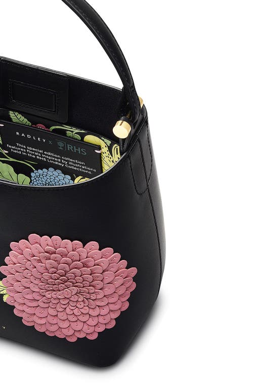 Radley Small Royal Horticultural Society Crossbody Bag In Black