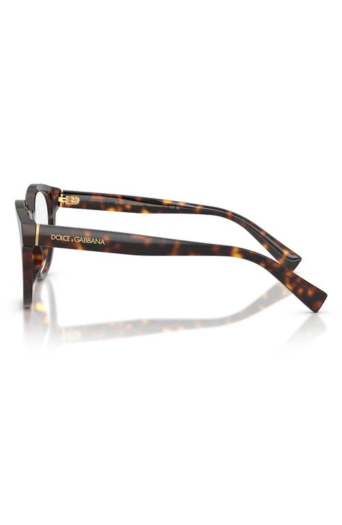 Dolce & Gabbana Dolce&gabbana 52mm Polarized Phantos Optical Glasses In Havana