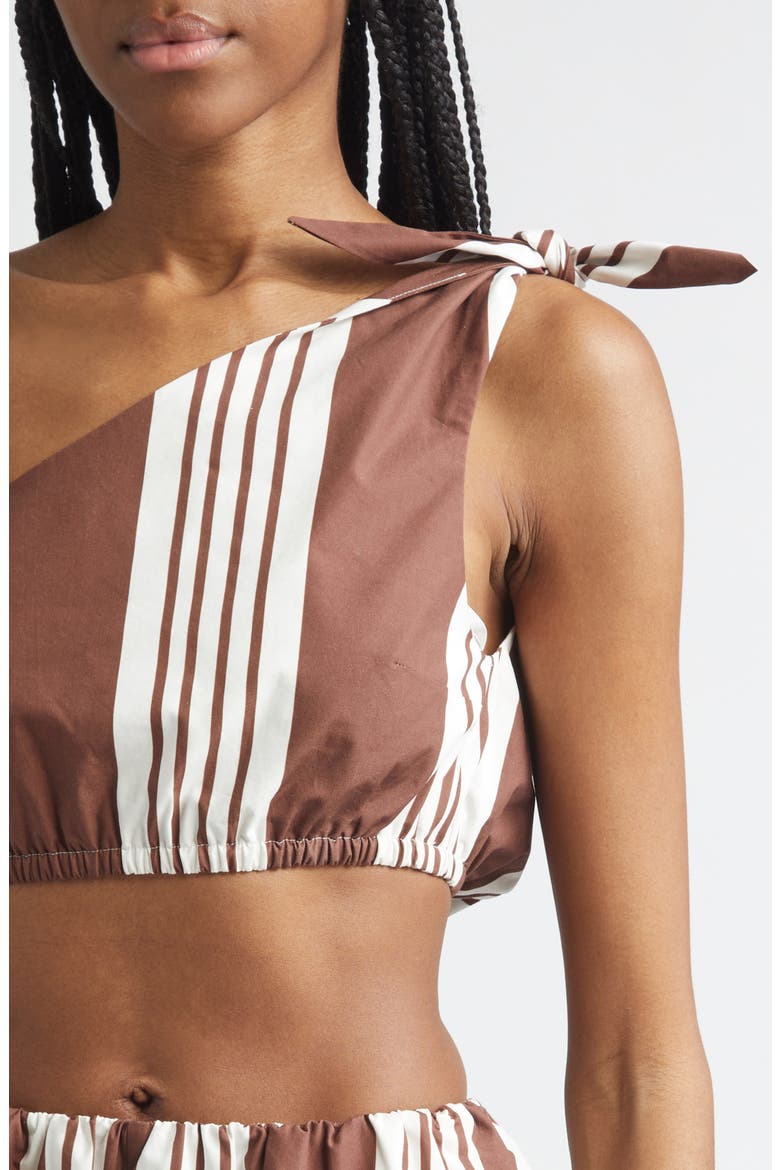 Rosie Stripe Asymmetric Neck Crop Top, Alternate, color, CHOCOLATE STRIPE