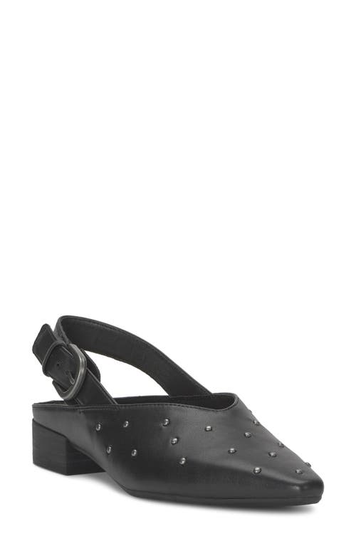 Lucky Brand Brigeet 2 Pointed Toe Pump In Black