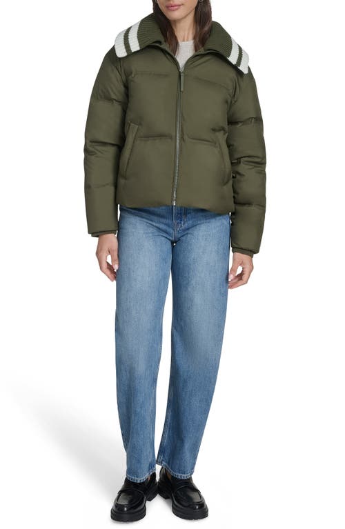 Champion Shawl Collar Puffer Jacket In Green