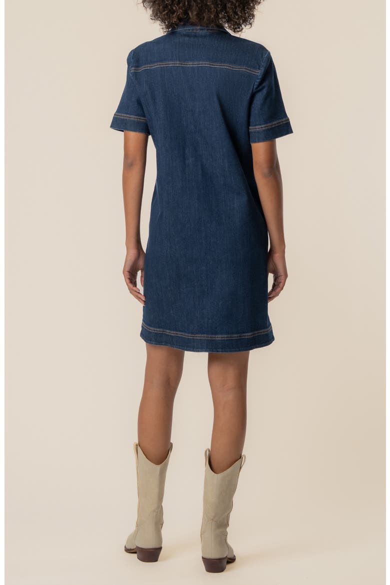 Tatiana Denim Dress, Alternate, color, PLAN