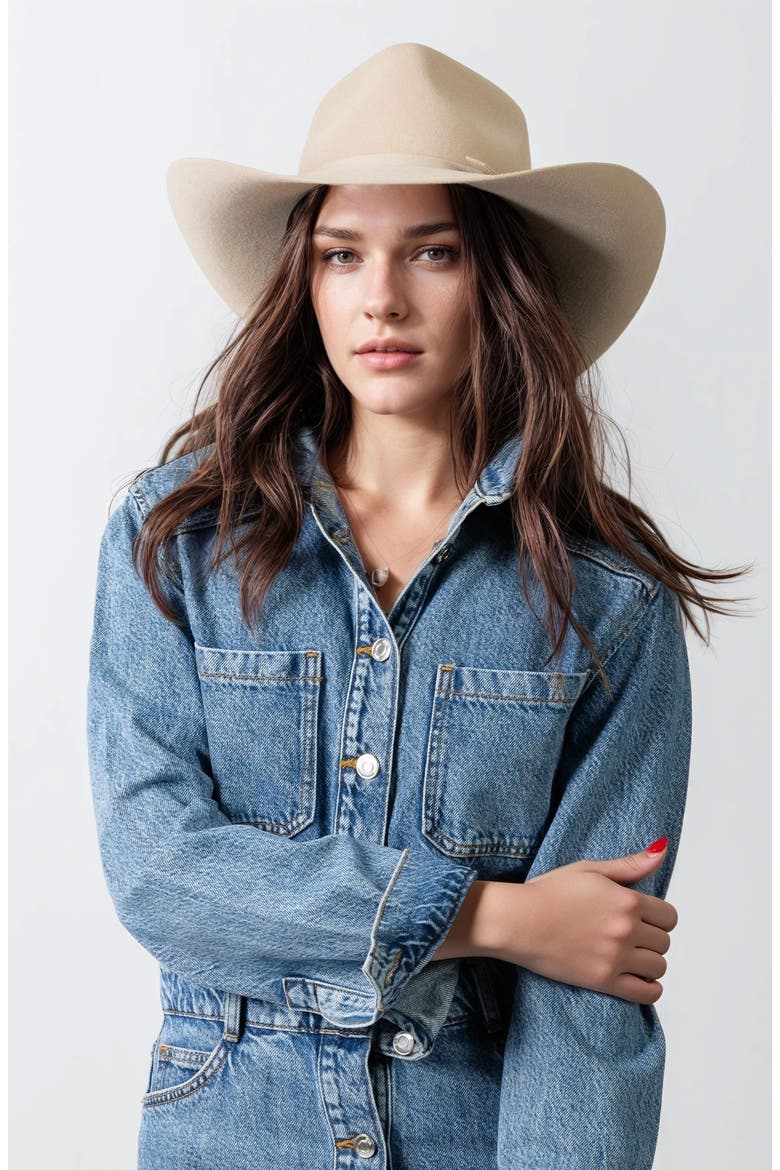 The Billy Premier Cowboy Hat, Alternate, color, Silberbelly