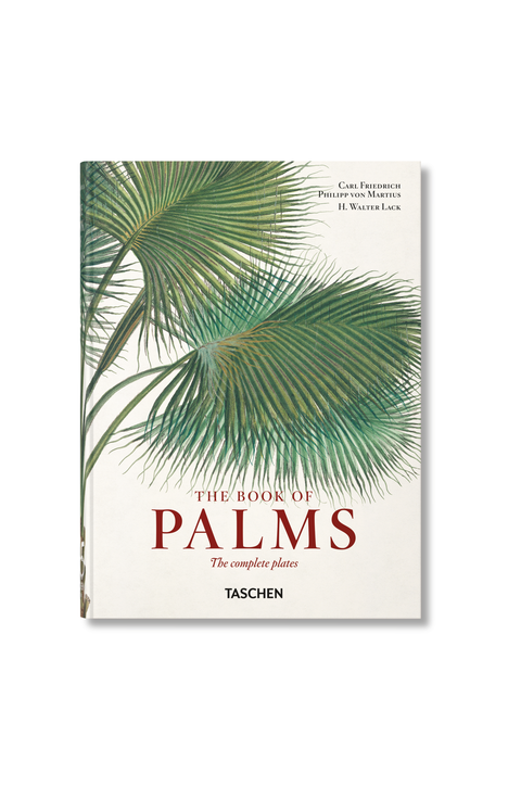 Martius The Book Of Palms 45th Ed (german French English)