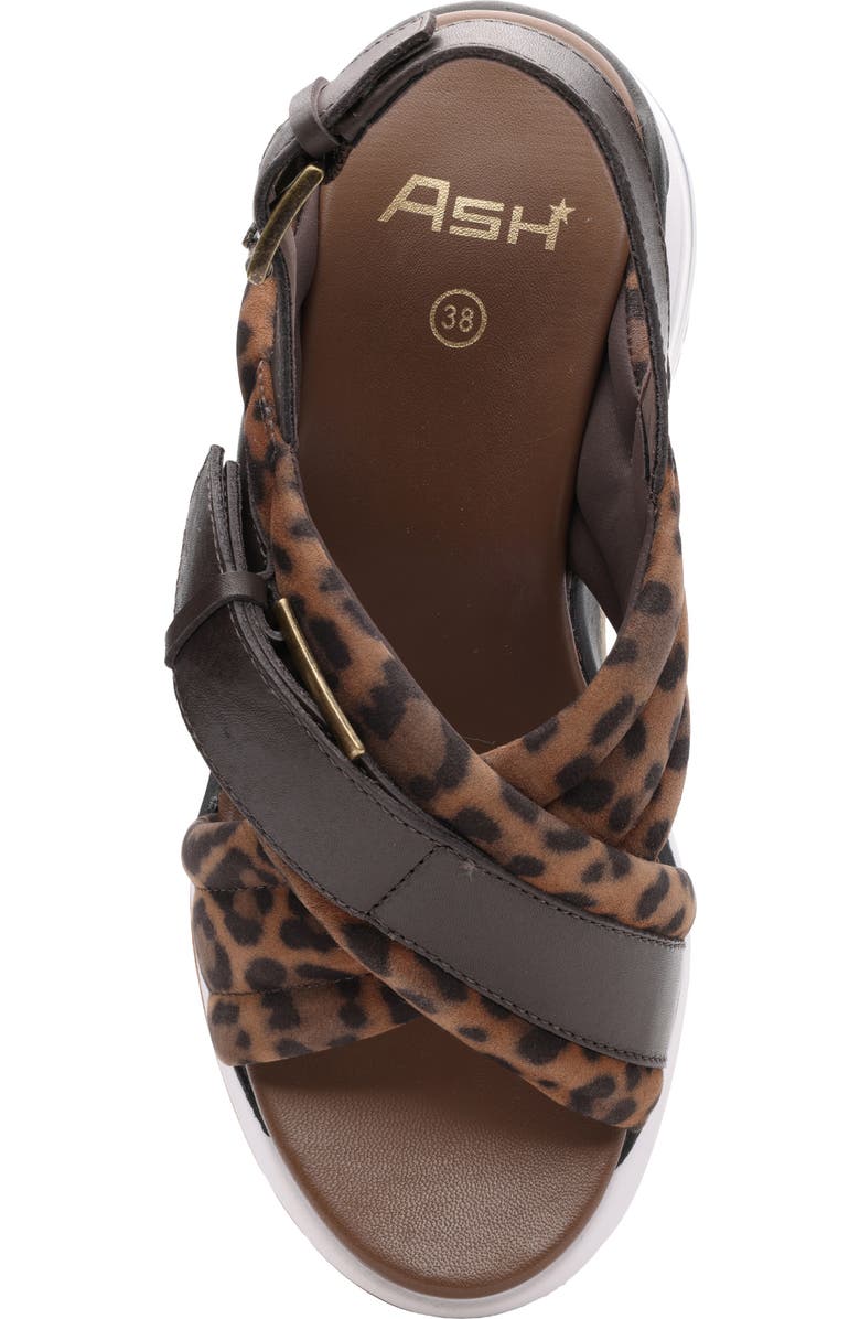 Ash Dixie Bis Leopard Slingback Slide Sandal, Alternate, color,