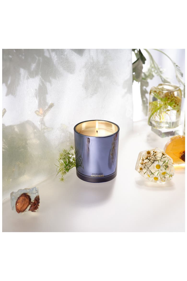 Cardamom Chestnut Classic Scented Candle (Limited Edition), Alternate, color, LIGHT BLUE