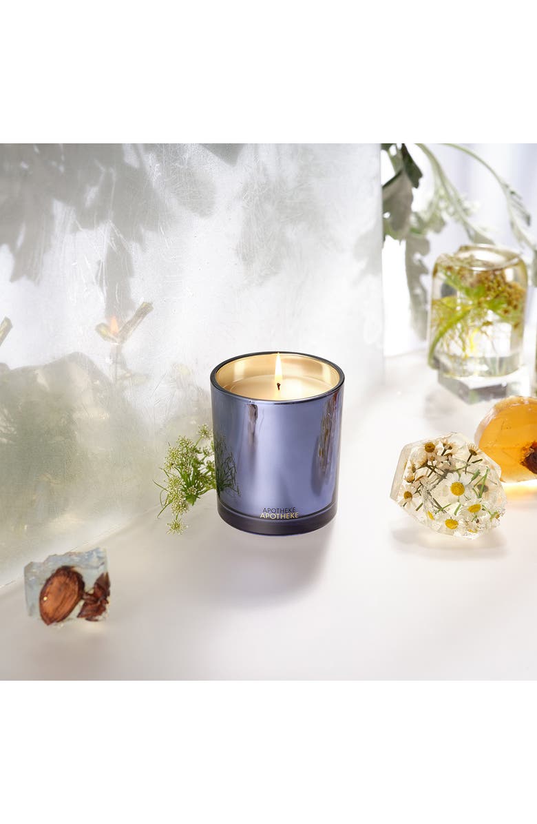APOTHEKE Cardamom Chestnut Classic Scented Candle, Alternate, color, Light Blue