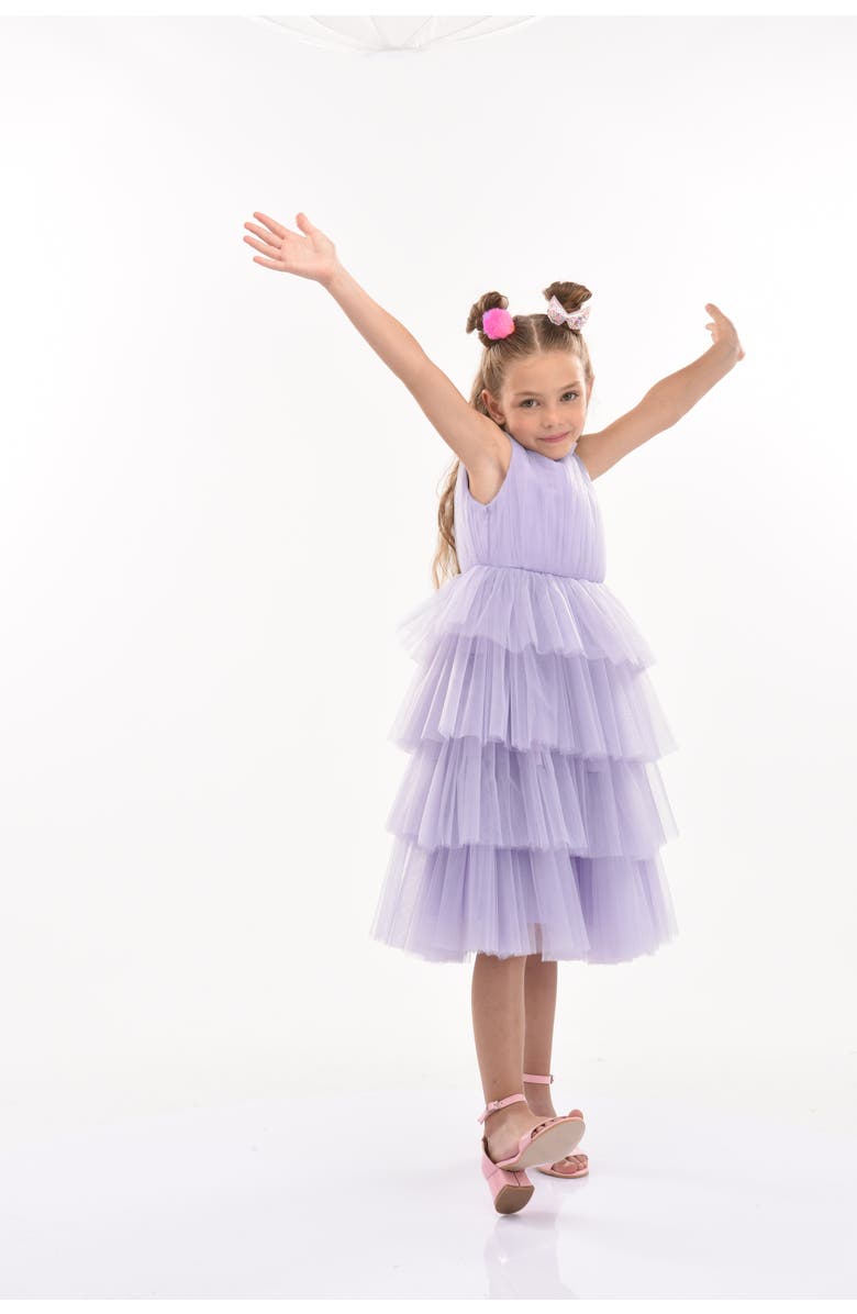 Tulleen Farvue Dress, Alternate, color, Purple