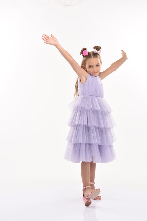 Tulleen Farvue Tiered Tulle Dress In Purple