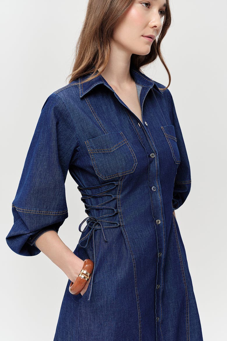 Arnaude Side Tie Long Sleeve Midi Dress, Alternate, color, Blue